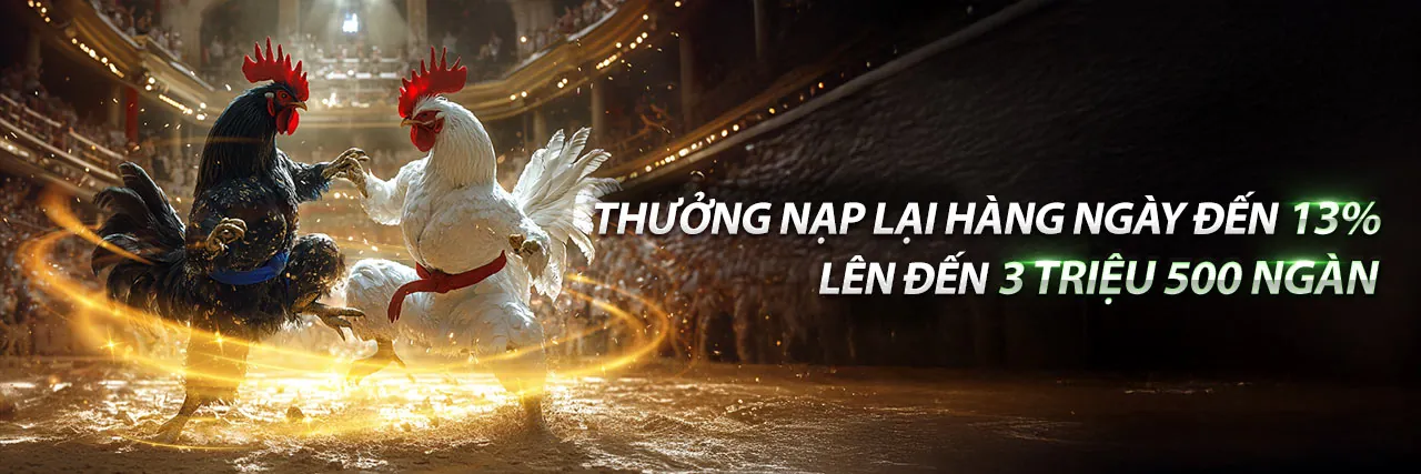 Ứng dụng ricvip link vào trên điện thoại di động