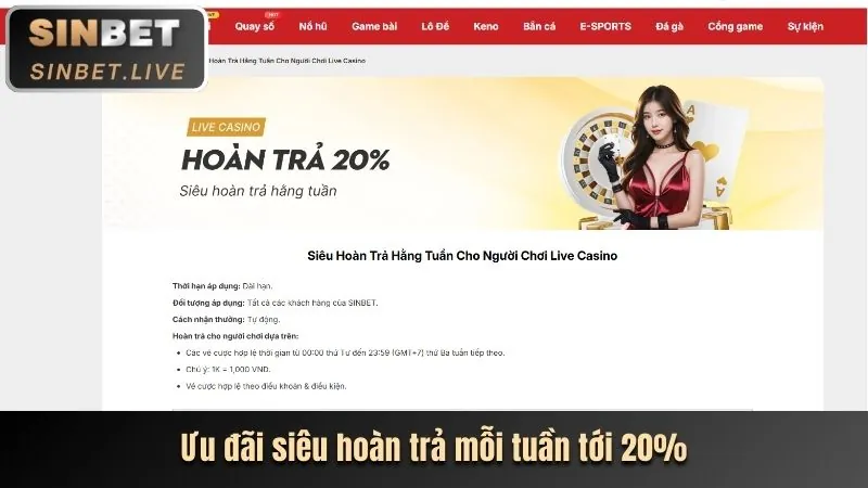 Nhắm mục tiêu cá lớn